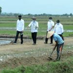 Presiden Kunjungi Food Estate, Bangun Ekosistem Pertanian Berkelanjutan