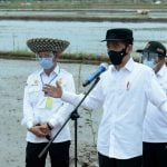 Presiden Kunjungi Food Estate, Bangun Ekosistem Pertanian Berkelanjutan