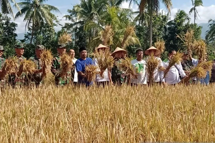 Pengurus HKTI Jember dan Dandim 0824 panen bersama sebagai simbol mengawali peringatan Hari Krida Pertanian di lahan pertanian Desa Candijati, Kecamatan Arjasa, Kabupaten Jember, Rabu (21/6/2023). ANTARA/Zumrotun Solichah